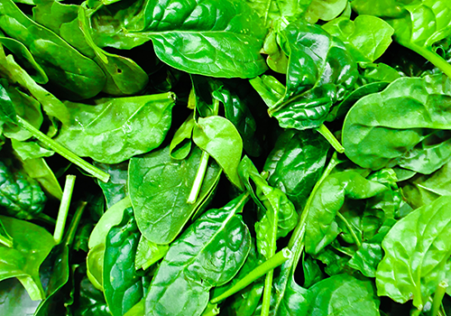 Alimentos ricos em cálcio